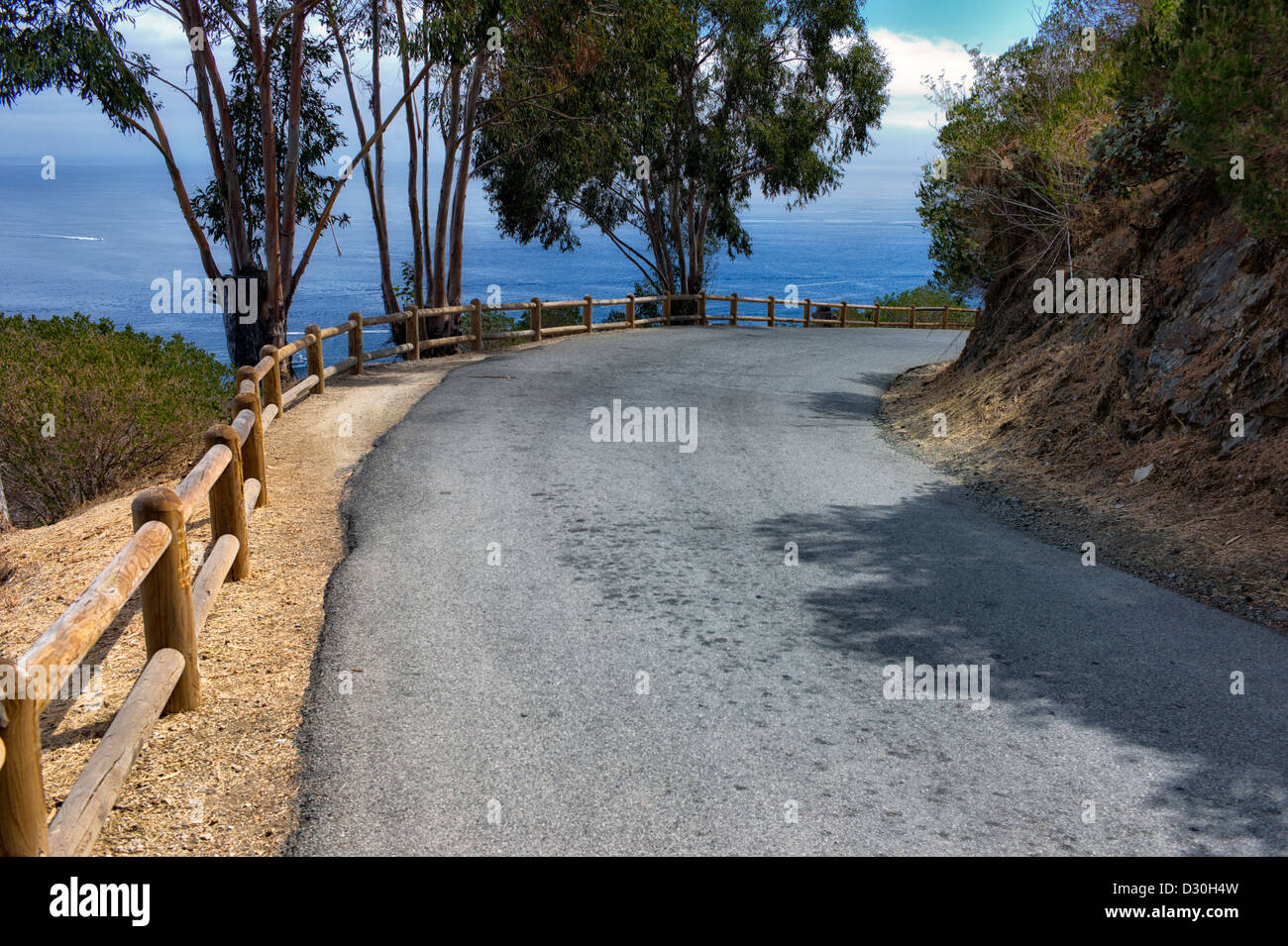 Strada intorno a Isola Catalina, California Foto Stock