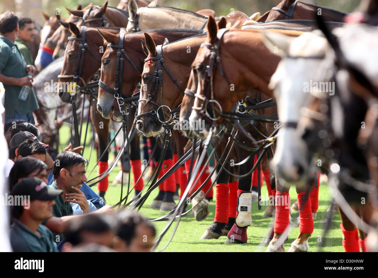 Dubai, Emirati arabi uniti, sposi e polo horse Foto Stock