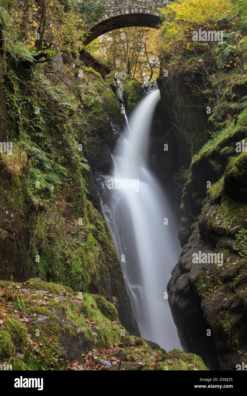 Aira Force cascata vicino a Ullswater nel Parco Nazionale del Distretto dei Laghi Foto Stock