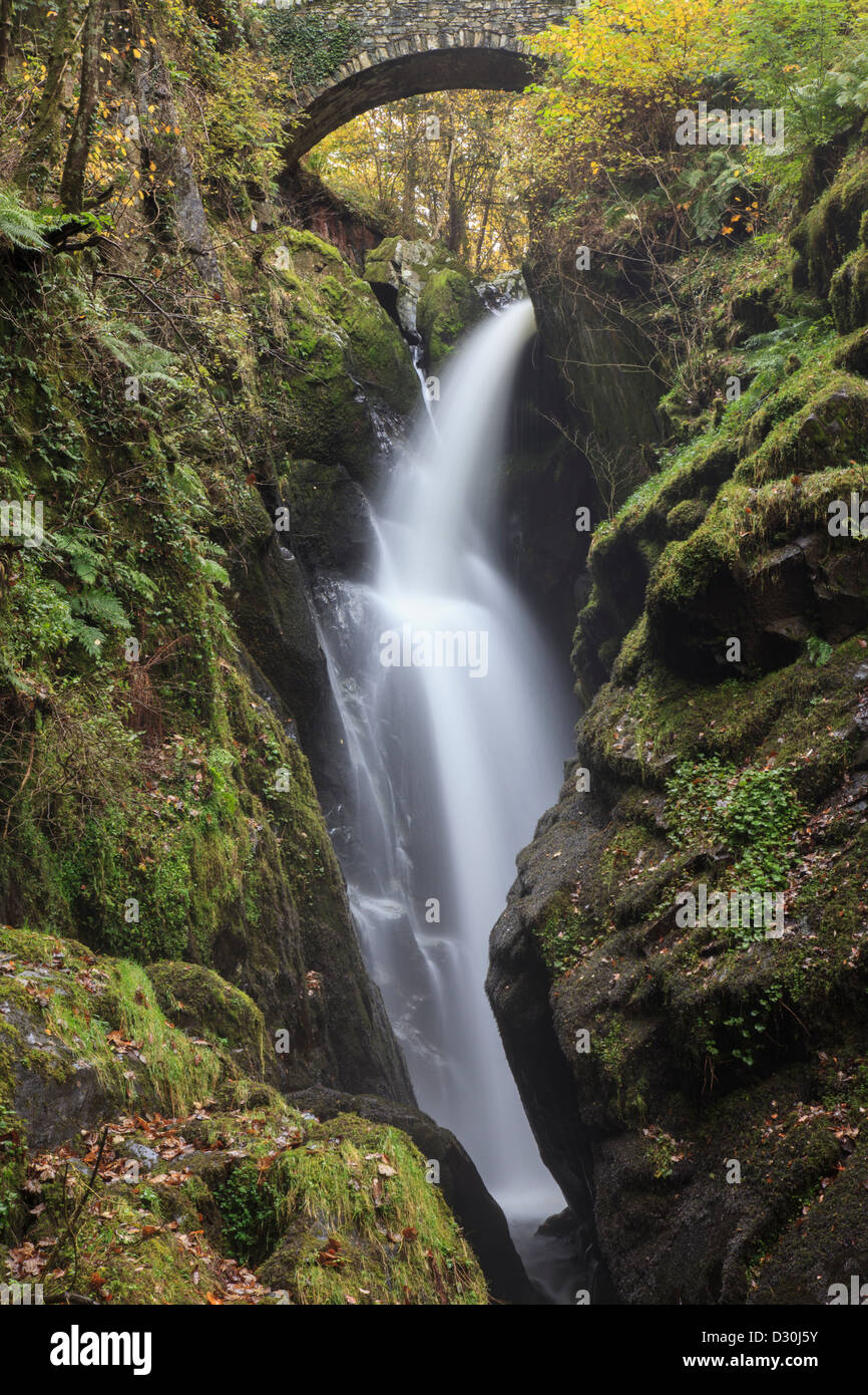 Aira Force cascata vicino a Ullswater nel Parco Nazionale del Distretto dei Laghi Foto Stock