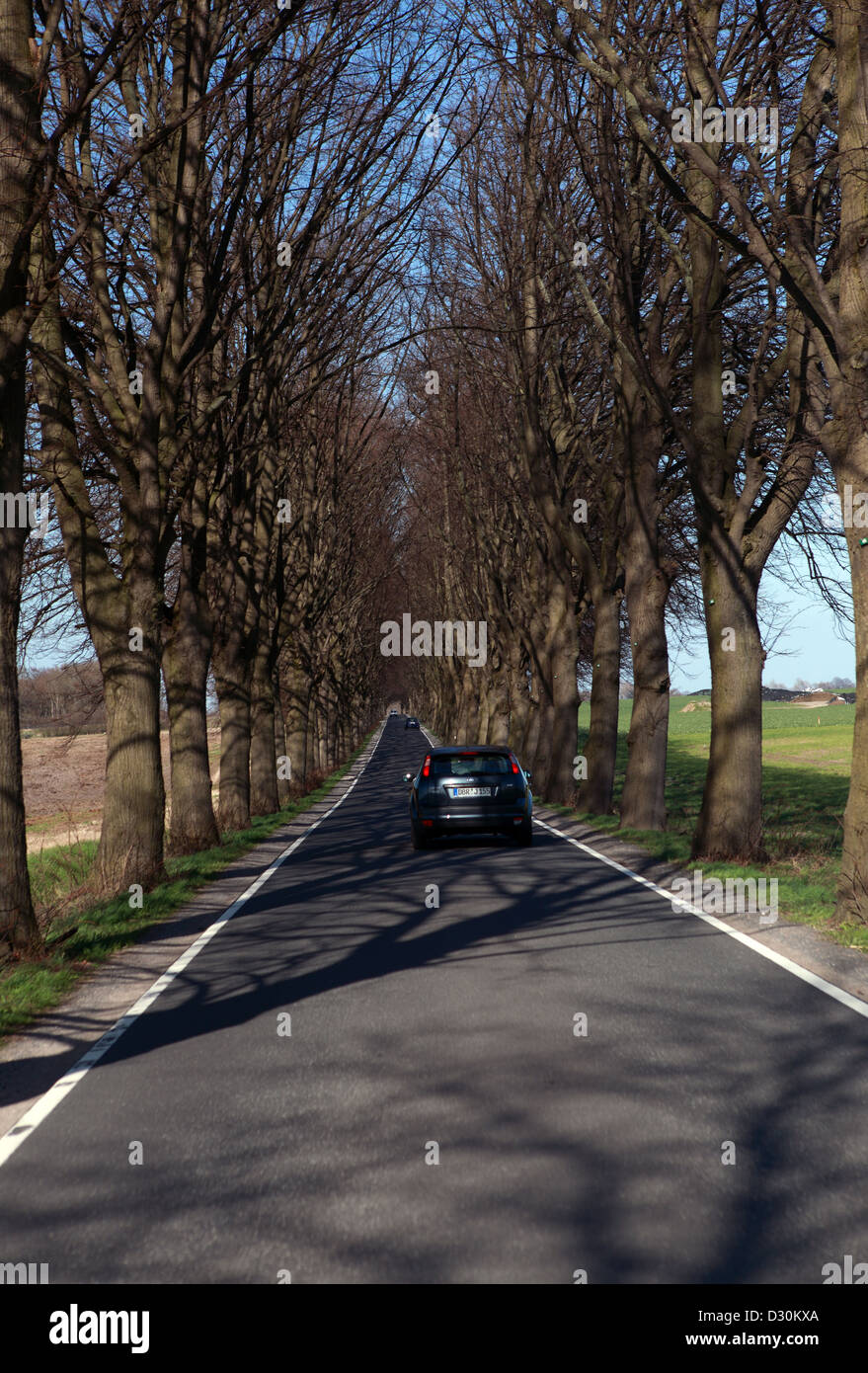 Dummerstorf, Germania, Cars driving lungo un viale Foto Stock