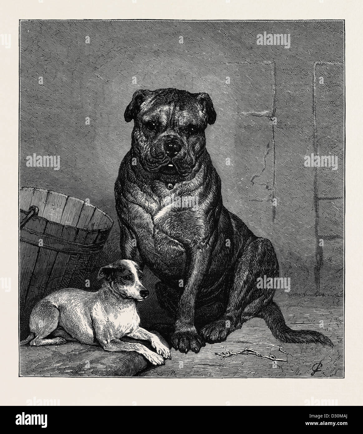 La bella e la bestia, DAL DISEGNO DI JOHN CHARLTON IN BIANCO E NERO mostra Foto Stock