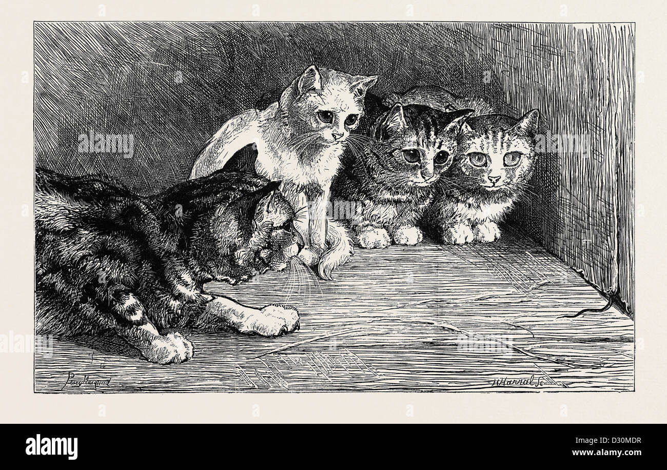 Un eccitante coda, dal disegno di Percy MACQUOID IN BIANCO E NERO mostra Foto Stock