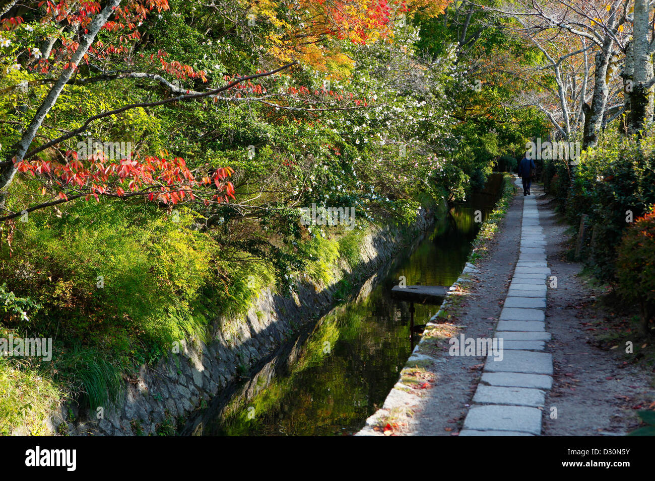 Kyoto filosofi del percorso Foto Stock