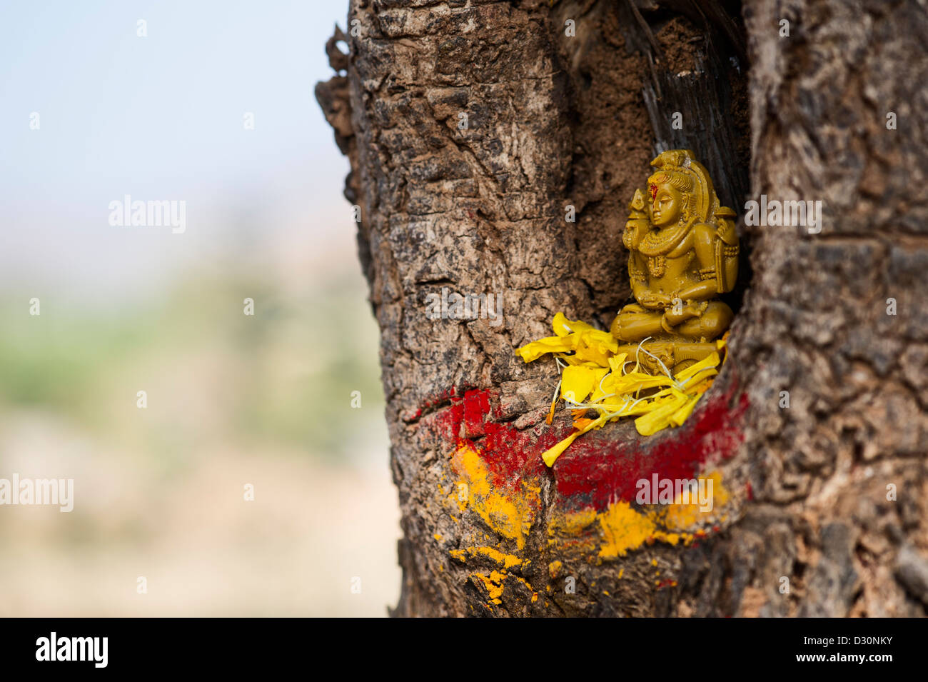 Signore Shiva statua e petali di fiori in un albero cavo. India Foto Stock