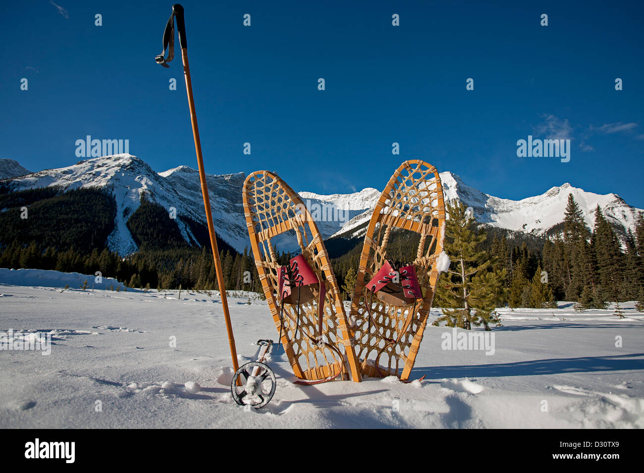 Vintage di racchette da neve di bambù e bastoncini da sci in inverno il paesaggio con le montagne innevate e cieli blu in background Foto Stock