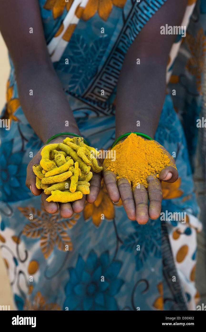 Rurale villaggio indiano donna holding essiccato Curcuma radici / rizomi e la curcuma in polvere nelle sue mani. Andhra Pradesh, India Foto Stock