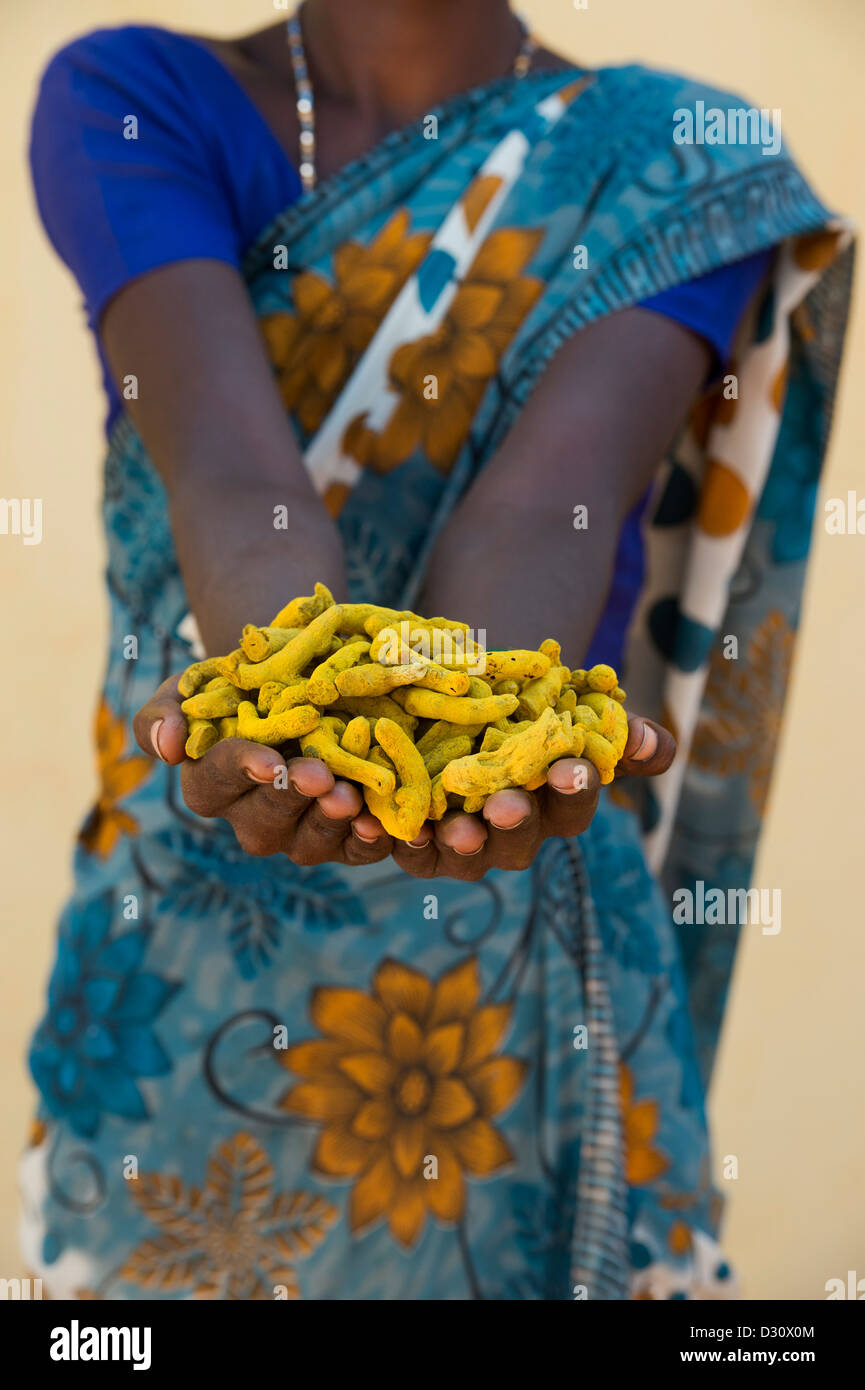 Rurale villaggio indiano donna holding essiccato Curcuma radici / rizomi nelle sue mani. Andhra Pradesh, India Foto Stock