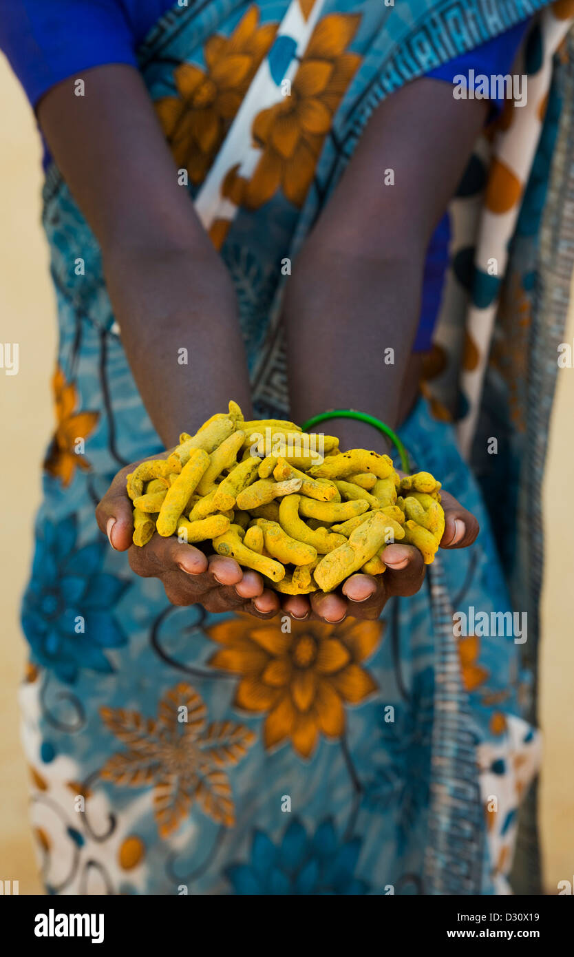 Rurale villaggio indiano donna holding essiccato Curcuma radici / rizomi nelle sue mani. Andhra Pradesh, India Foto Stock
