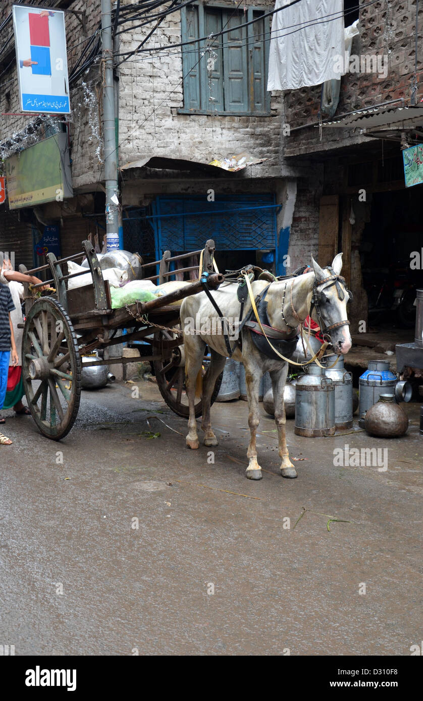 Il latte fresco tradizionale trainato da cavalli carrello consegna all'interno delle vecchie mura della città di Lahore, Pakistan Foto Stock