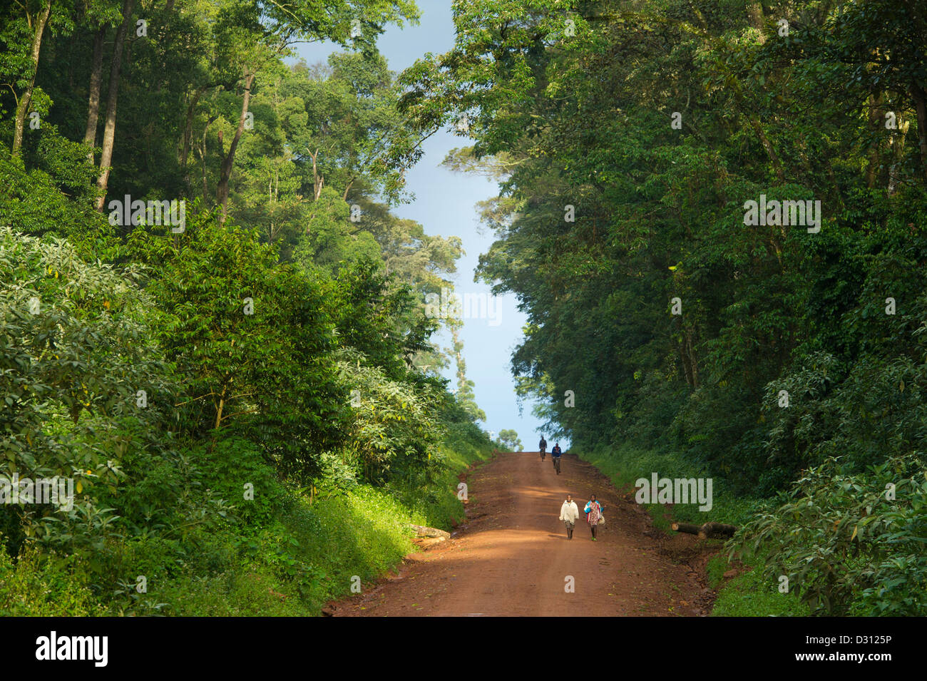 La gente a piedi lungo la strada attraverso Kakamega Forest National Reserve, Kenya Foto Stock