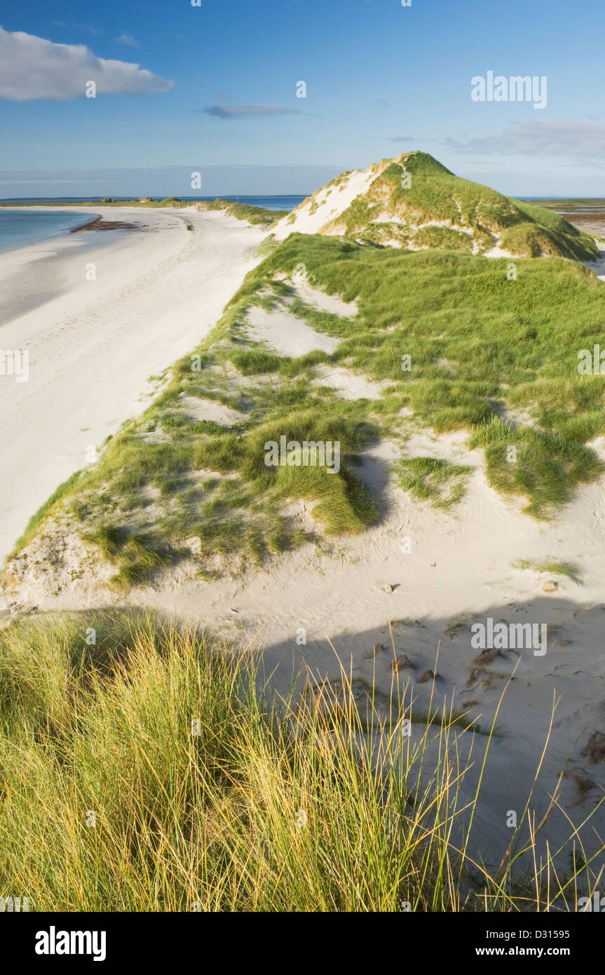 Baia di Newark, Sanday, Orkney Islands, Scozia. Foto Stock