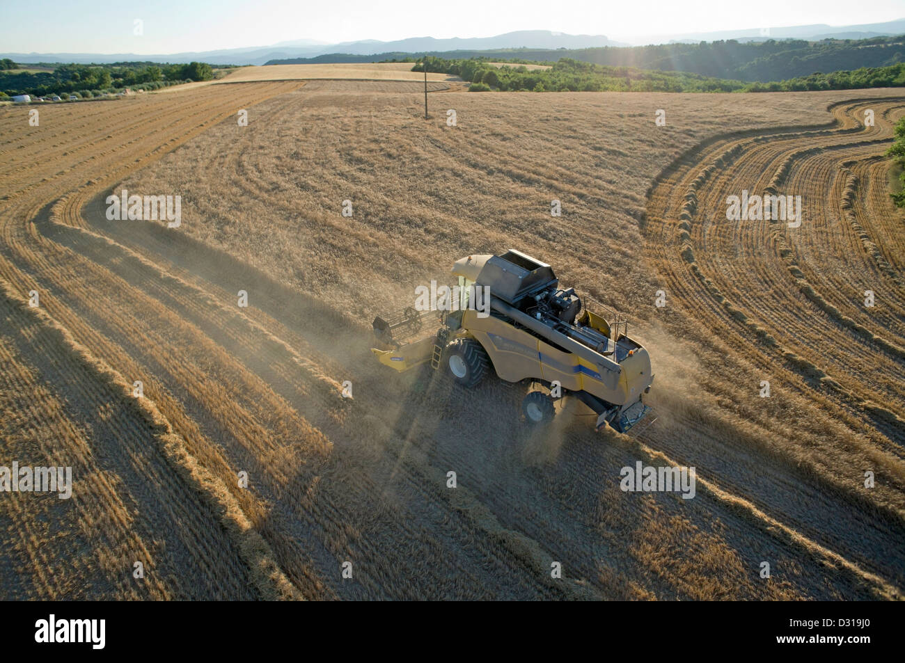 Agricoltore il grano raccolto utilizzando mietitrebbia, sud della Francia Foto Stock