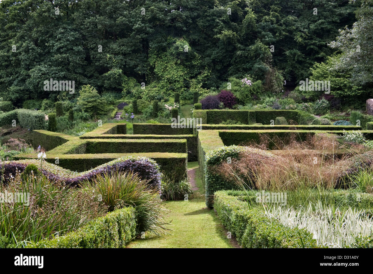 Siepi accuratamente tagliate al Veddw House Garden, Devauden, Galles, Regno Unito, un moderno e romantico giardino fatto da Anne Wareham e Charles Hawes Foto Stock