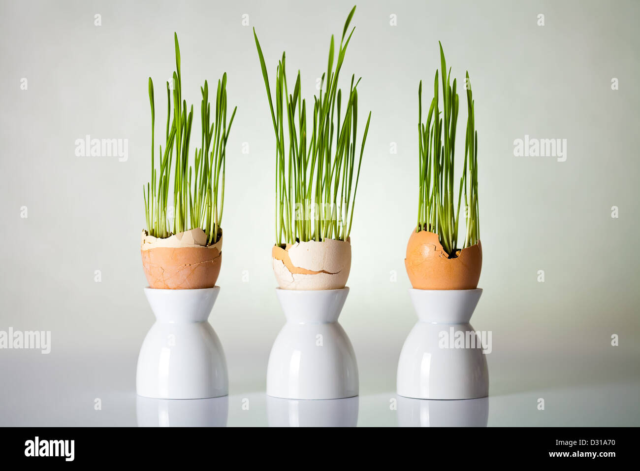 Composizione di pasqua con erba verde nel guscio delle uova su sfondo grigio Foto Stock