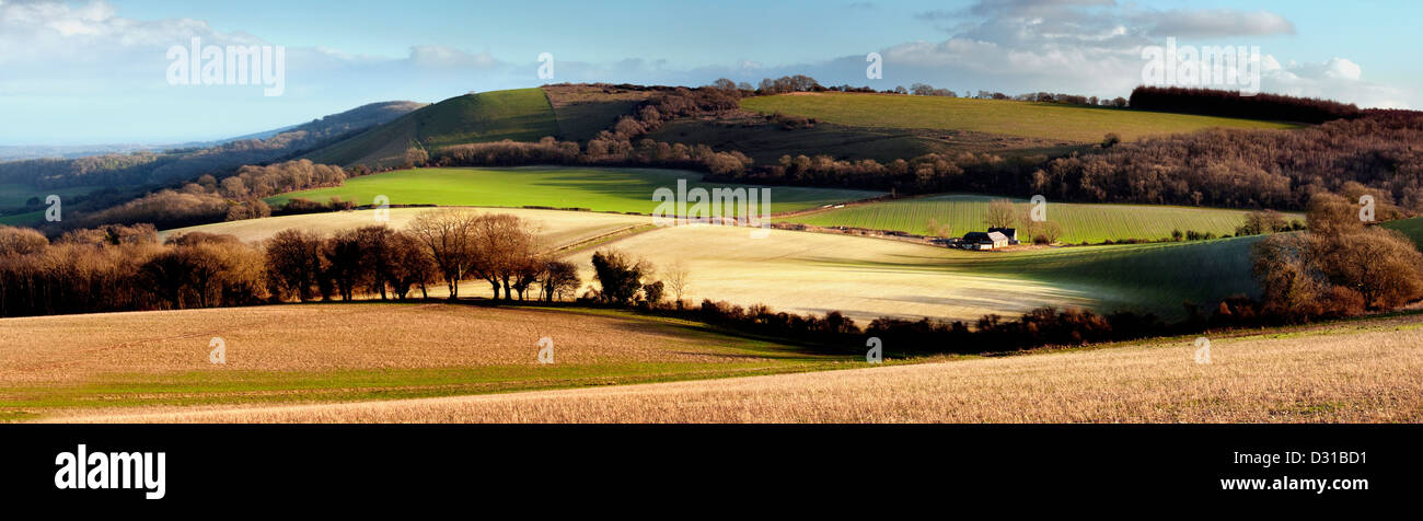 Un panorama del South Downs nel Sussex guardando verso Treyford collina con un edificio rustico alberi e campi blu del cielo e del cloud Foto Stock