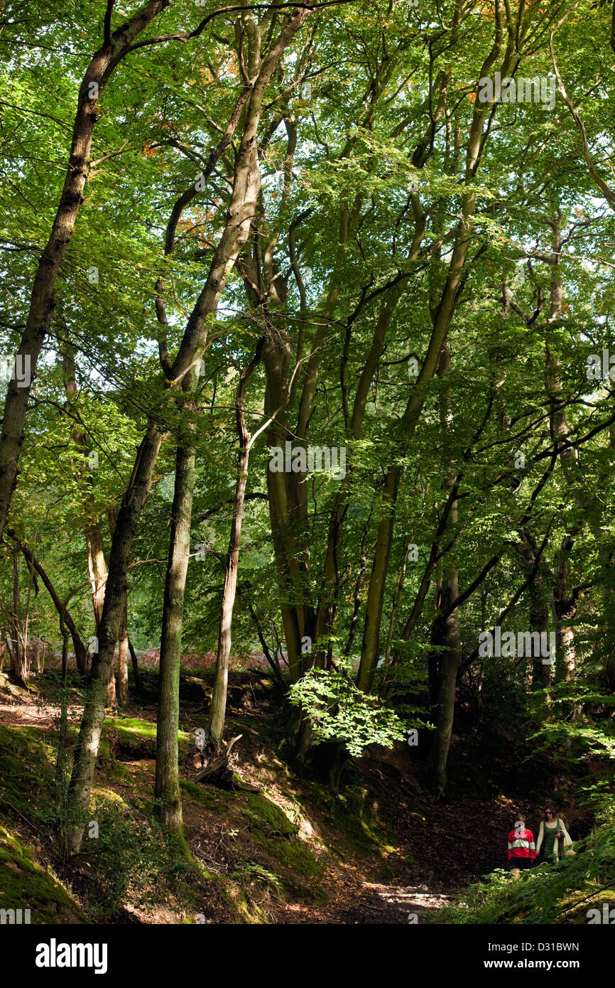 Madre e figlio a piedi lungo un antico affondato la via nel bosco in estate in una giornata di sole in West Sussex England Regno Unito Foto Stock