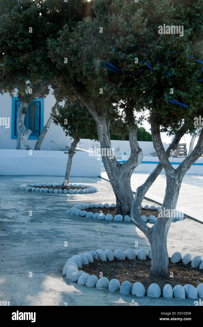 Alberi di ginepro circondato con pietre in una chiesa greca cortile. Foto Stock