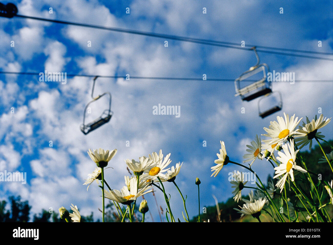 Impianti di risalita in estate Foto Stock