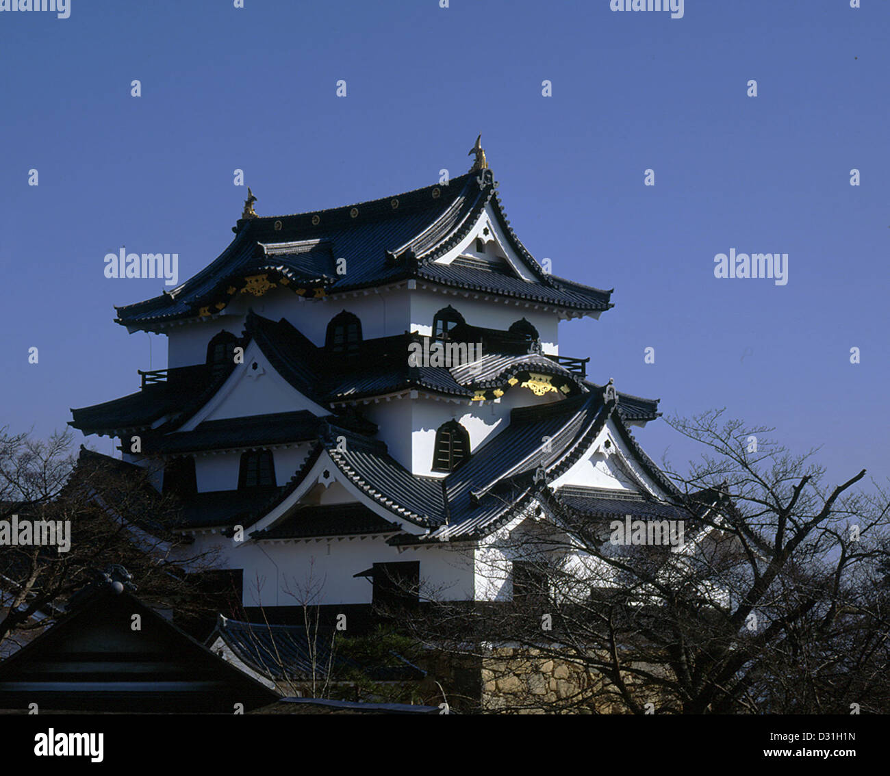 Il castello di Hikone, Hikone, nella prefettura di Shiga, Giappone Foto Stock