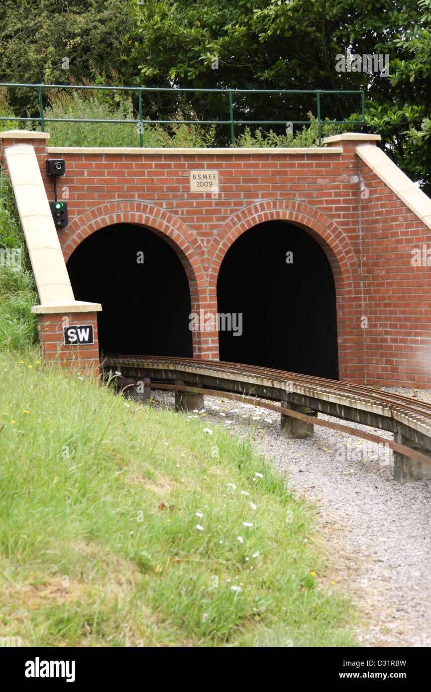 Ferrovia a scartamento ridotto pista andando nel tunnel Foto Stock