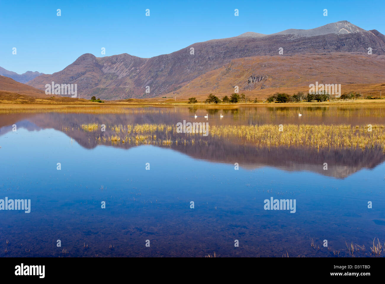 Loch Coultrie e Beinn Damh, Wester Ross, Scotland, Regno Unito Foto Stock