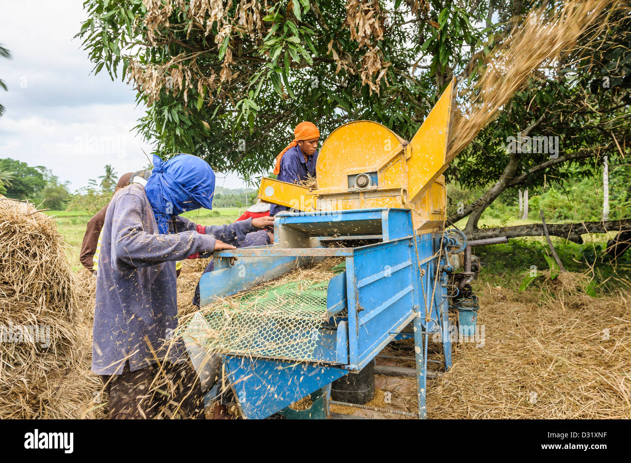 Un gruppo di uomini la trebbiatura del riso con una macchina, Port Barton, Filippine, Asia Foto Stock
