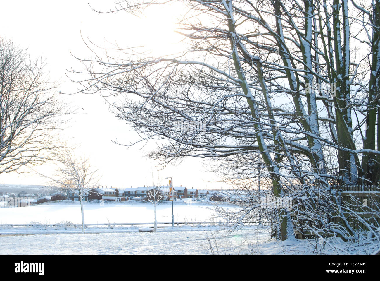 Una coperta di neve albero in inverno contro un paesaggio e il cielo dello sfondo con ogni ramoscello fittamente ricoperta di brina molto pittoresco Foto Stock