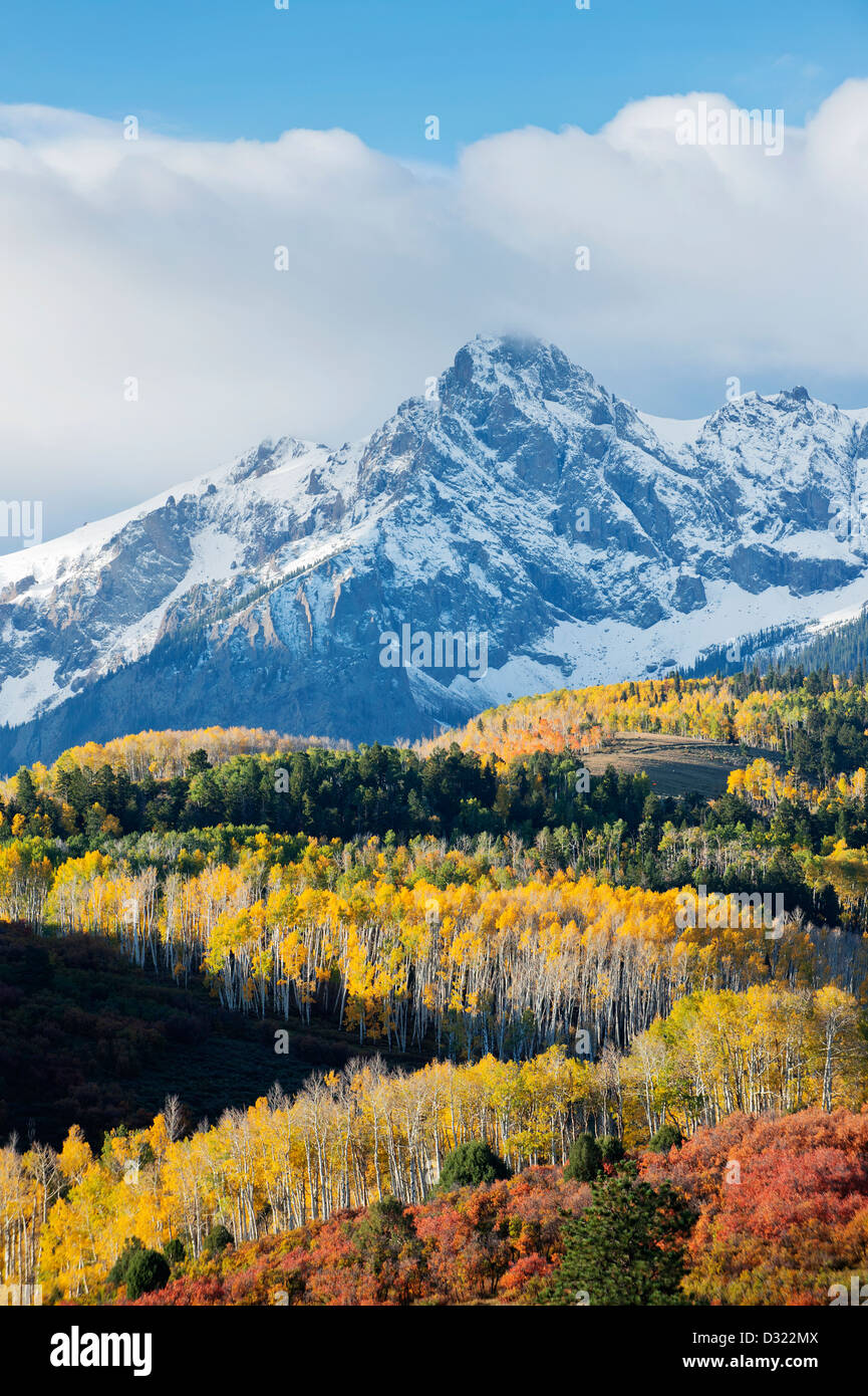 Montagna innevata e alberi nel paesaggio rurale Foto Stock