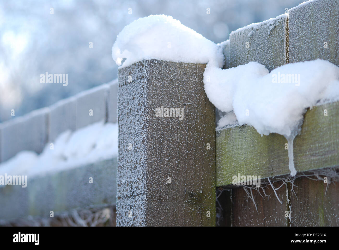 Un grumo di intatta neve intatta su una staccionata di legno ricoperta di brina spessa e ragnatele fresco con toni di blu Bianco nitido Foto Stock