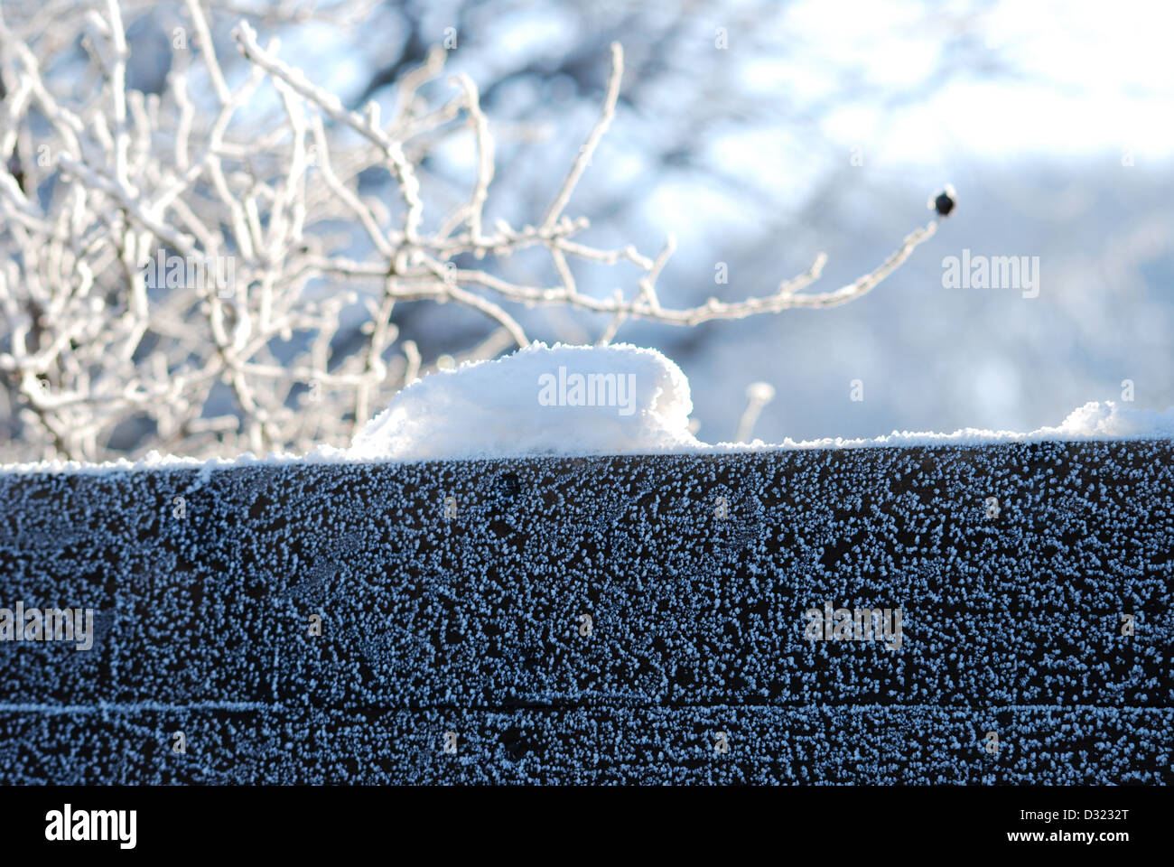 Una coperta di neve albero in inverno contro un luminoso cielo azzurro sfondo con ogni ramoscello fittamente ricoperta di brina molto pittoresco Foto Stock