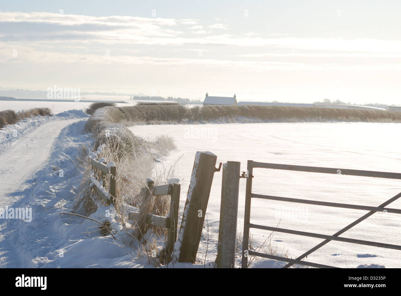 Una coperta di neve paese rurale strada che porta al maso con campo siepe gate bush gelo e agriturismo in background del paesaggio Foto Stock