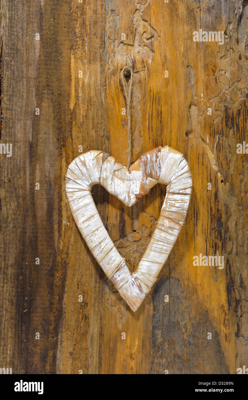 Cuore di amore su legno e albero Foto Stock