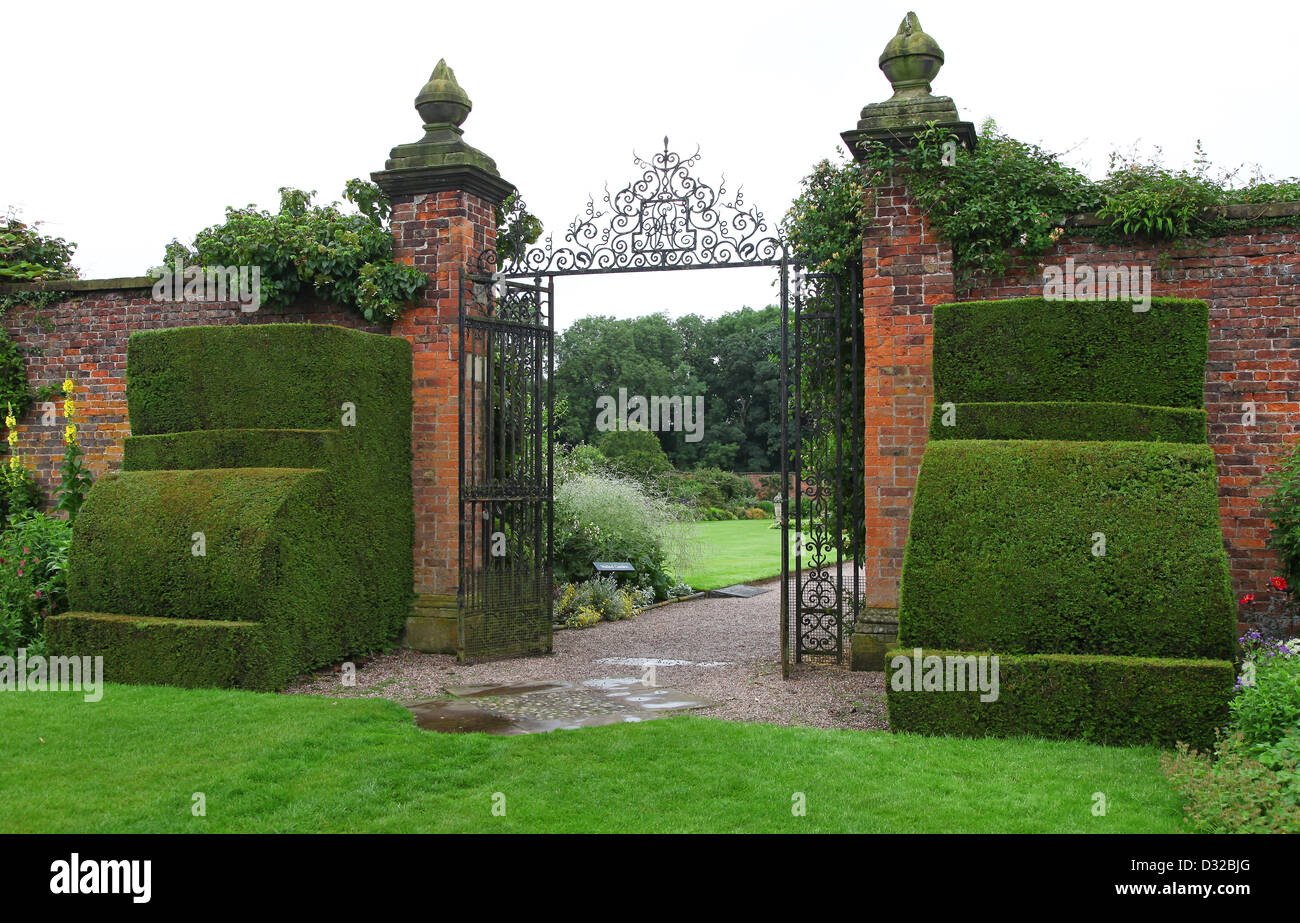 Impianto formale e topiaria da nel confine erbacee guardando verso il giardino murato a Arley Hall gardens Cheshire England Regno Unito Foto Stock