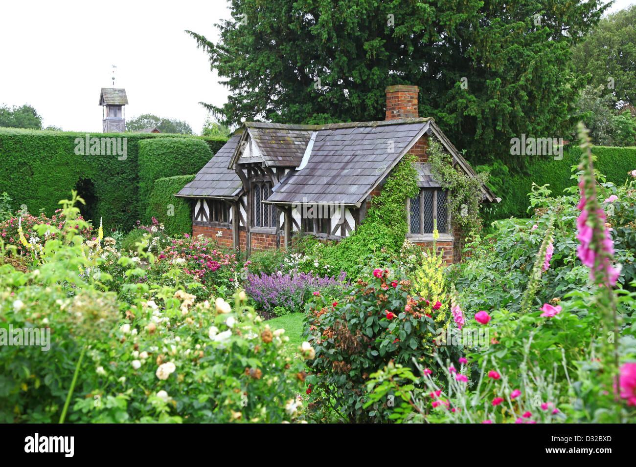 Il mezzo in legno edificio conosciuto come il tè Cottage in rosa ad arbusto Giardino a Arley Hall gardens Cheshire England Regno Unito Foto Stock
