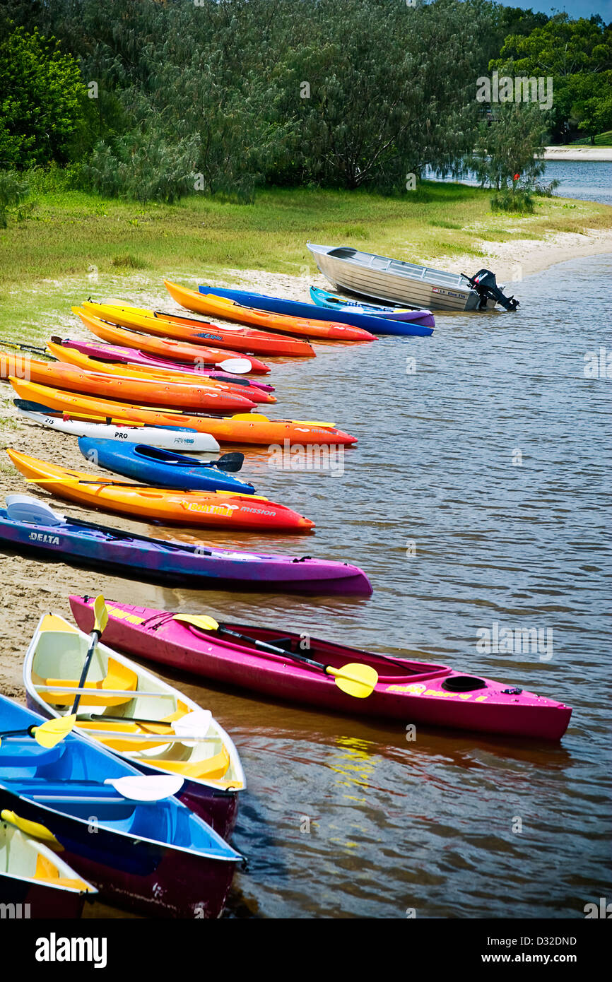 Kayak colorati in una fila annidata su uno dei Queensland Maroochy del fiume Foto Stock