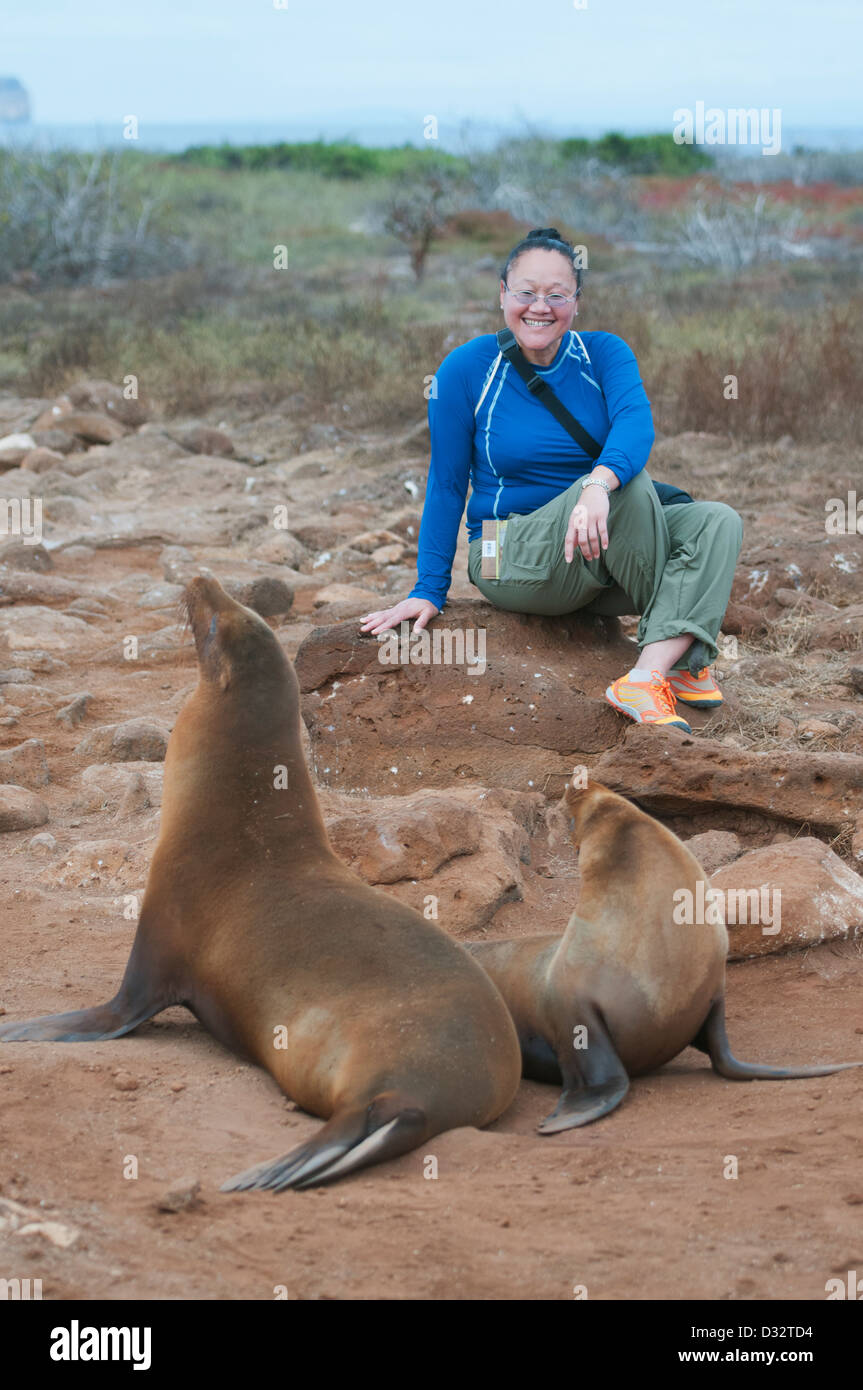 Donna turistico e le Galapagos leoni di mare, North Seymour island, Galapagos Foto Stock