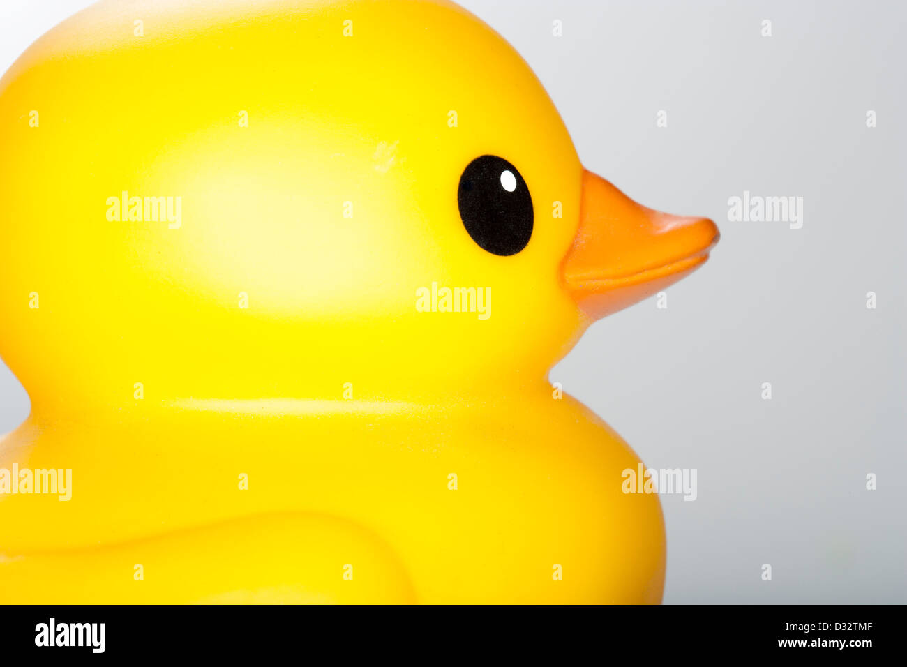 Duck, giocattolo, vasca da bagno, giallo, plastica, gomma, isolato, animali e animali domestici, oggetti isolati, galleggiante sull'acqua, giocando, O Foto Stock