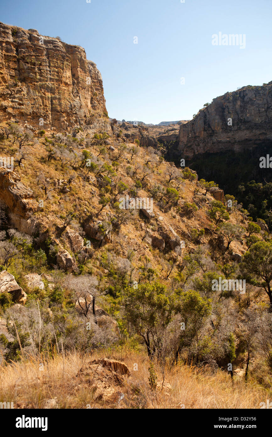 In Madagascar, il Parc National de l'Isalo, Namaza, gola rocciosa Foto Stock