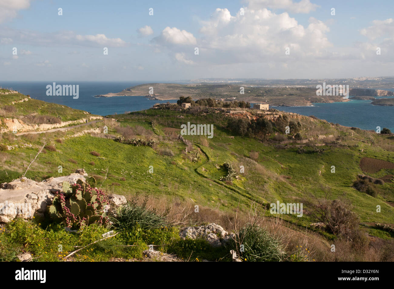 Gozo paesaggio, vista, erba, arbusti, pareti in pietra, il mare in lontananza, sole, cielo blu e nuvole bianche rocce. Foto Stock