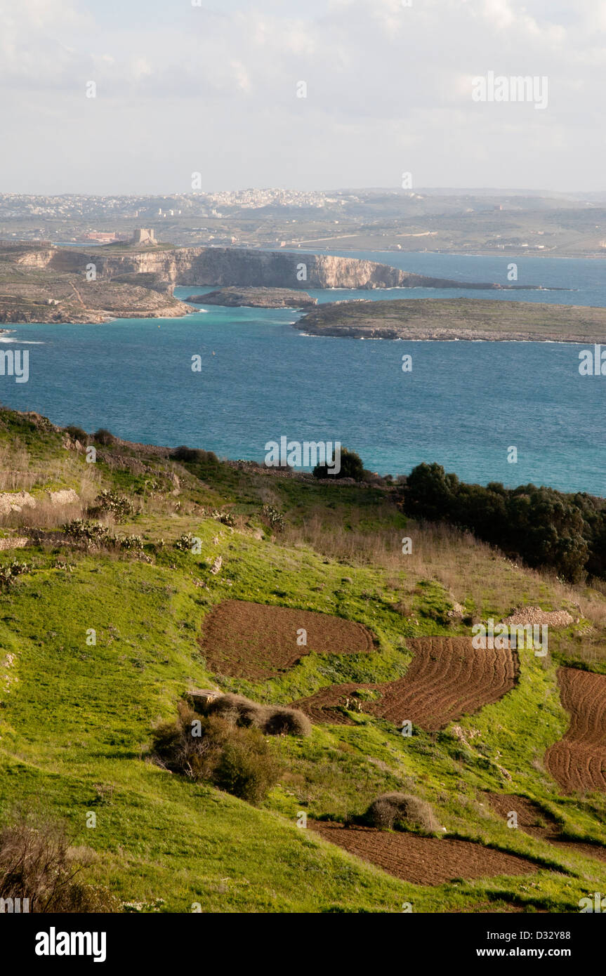 Gozo paesaggio, vista, erba, arbusti, pareti in pietra, il mare in lontananza, sole, cielo blu e nuvole bianche rocce. Foto Stock