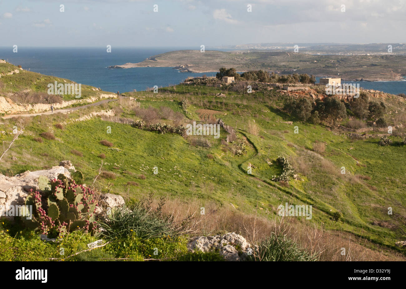 Gozo paesaggio, vista, erba, arbusti, pareti in pietra, il mare in lontananza, sole, cielo blu e nuvole bianche rocce. Foto Stock