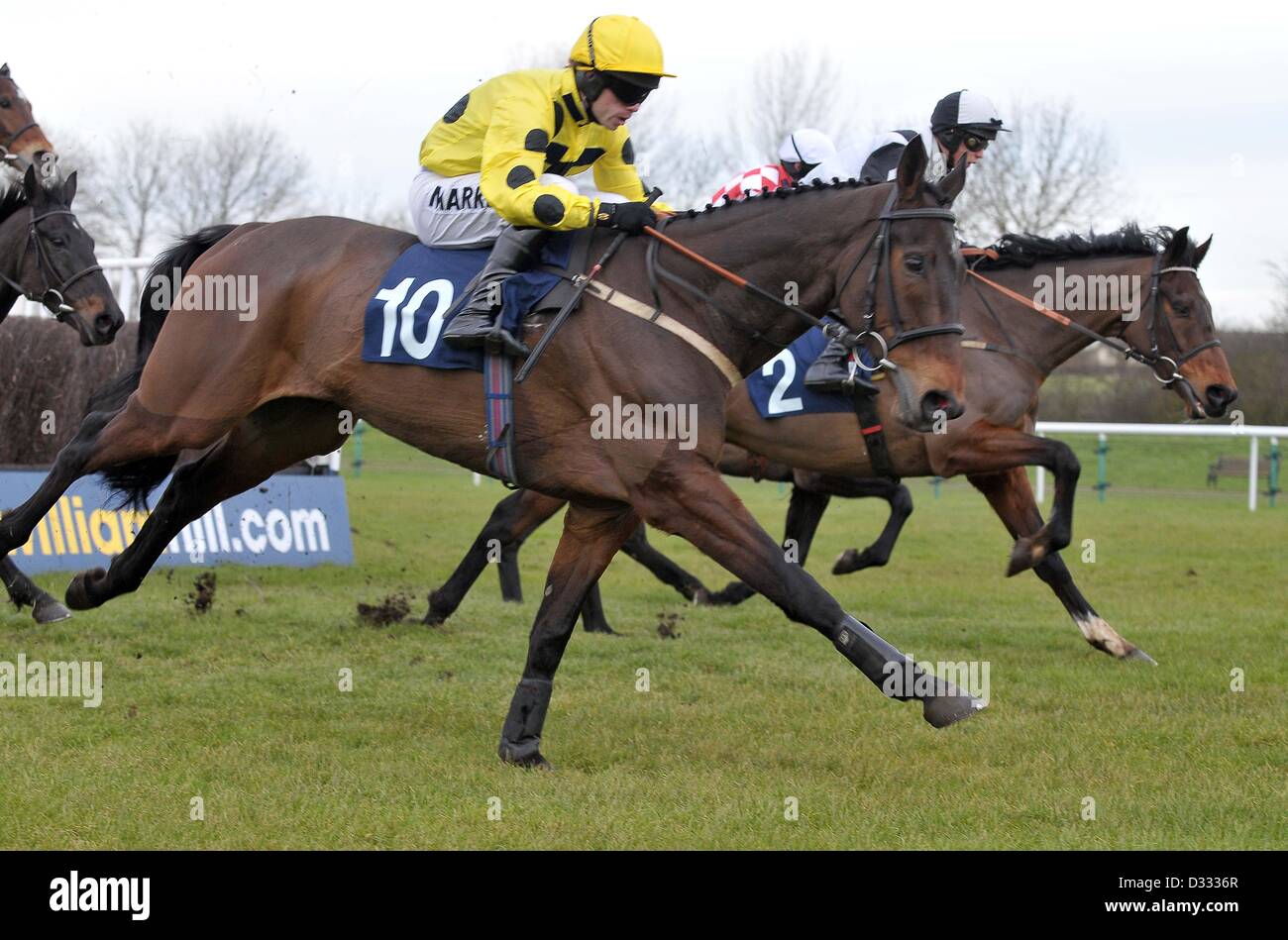 Huntingdon Race Course. Cambridgeshire. 7 febbraio 2013. Vincitore ARBEO cavalcato da Sam Thomas. Gara 3. 32Red Casino novizi? Handicap Chase. Chatteris Fen Racing giorno.. Credito: Sport In immagini / Alamy Live News Foto Stock