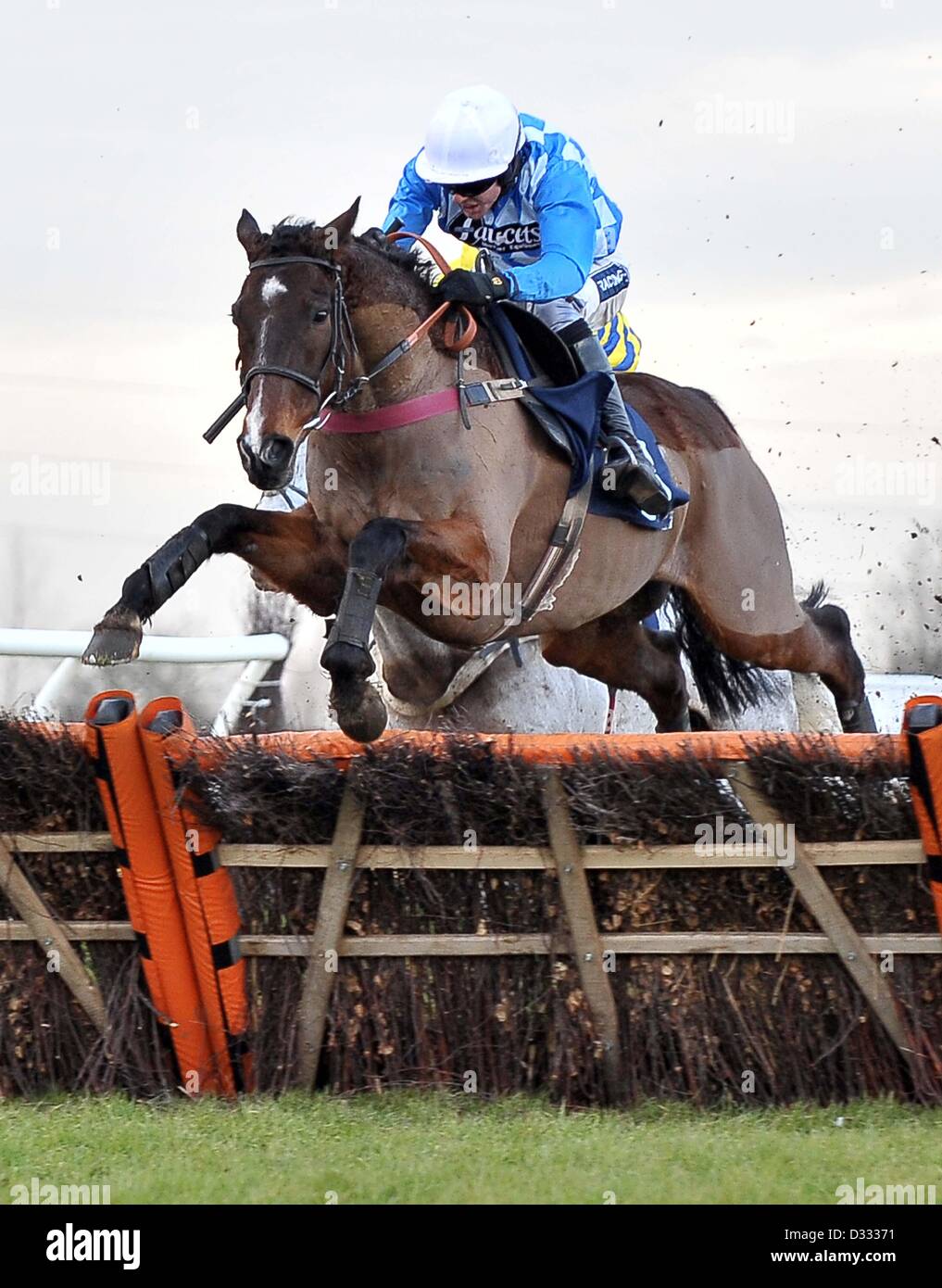 Huntingdon Race Course. Cambridgeshire. 7 febbraio 2013. Vincitore professore d'arte cavalcato da Aidan Coleman salta l'ultima riga. Gara 5. Handicap 32Red.com ostacolo. Chatteris Fen Racing giorno.. Credito: Sport In immagini / Alamy Live News Foto Stock
