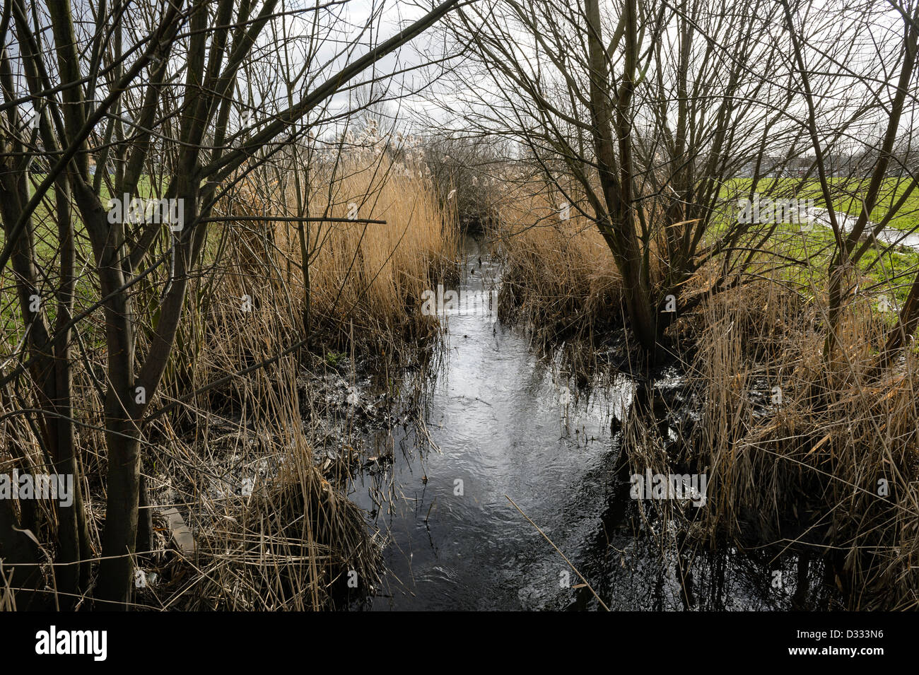 Il canale di bipasso strozzamento a causa della mancanza di vegetazione di gestione. Fiume alluvione Quaggy alleviamento dello schema, Sutcliffe Park, London, Regno Unito. Foto Stock