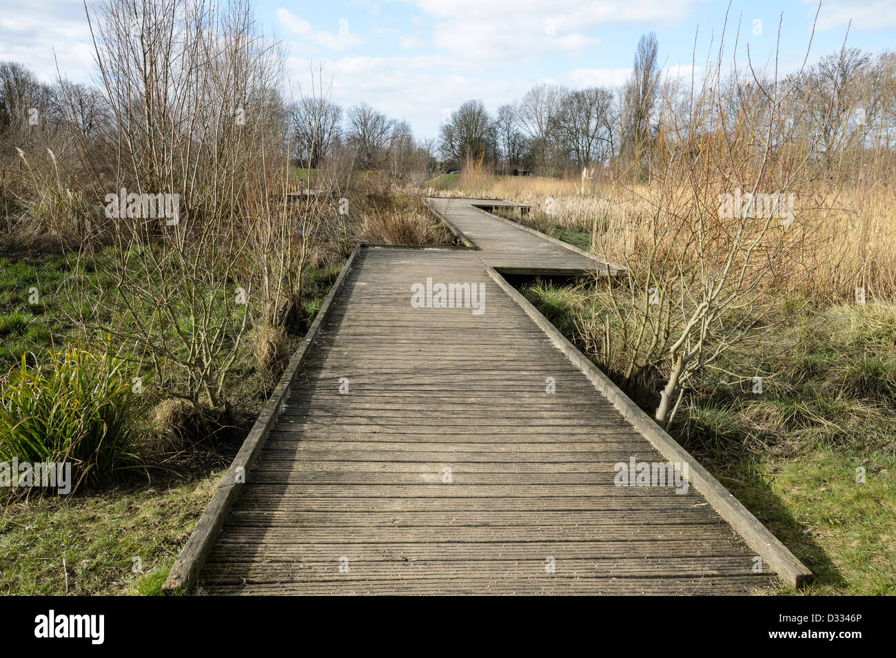 Il Boardwalk attraverso la pianura alluvionale wetland habitat. Fiume alluvione Quaggy alleviamento dello schema, Sutcliffe Park, London, Regno Unito. Foto Stock