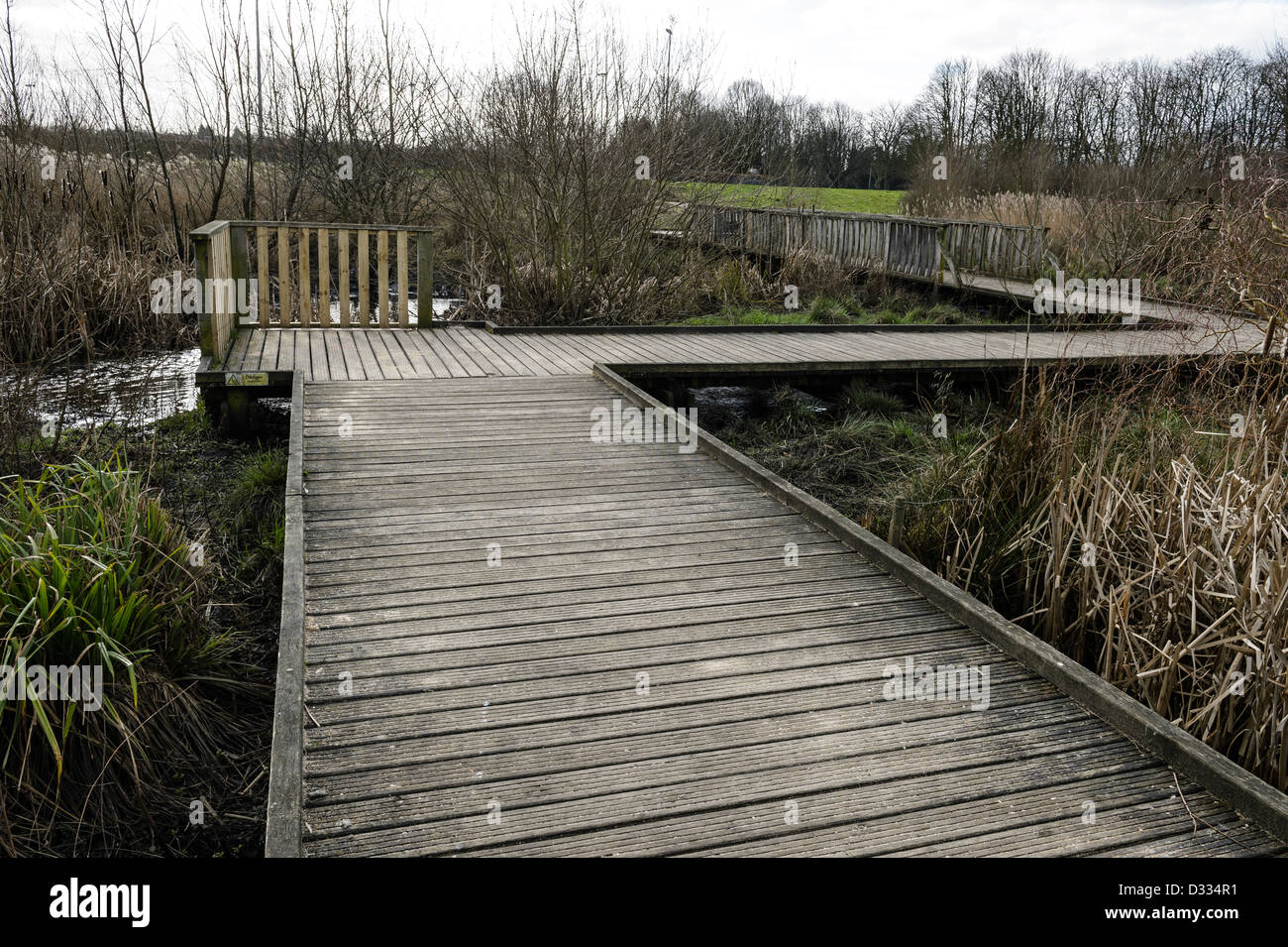 Il Boardwalk attraverso la pianura alluvionale wetland habitat. Fiume alluvione Quaggy alleviamento dello schema, Sutcliffe Park, London, Regno Unito. Foto Stock