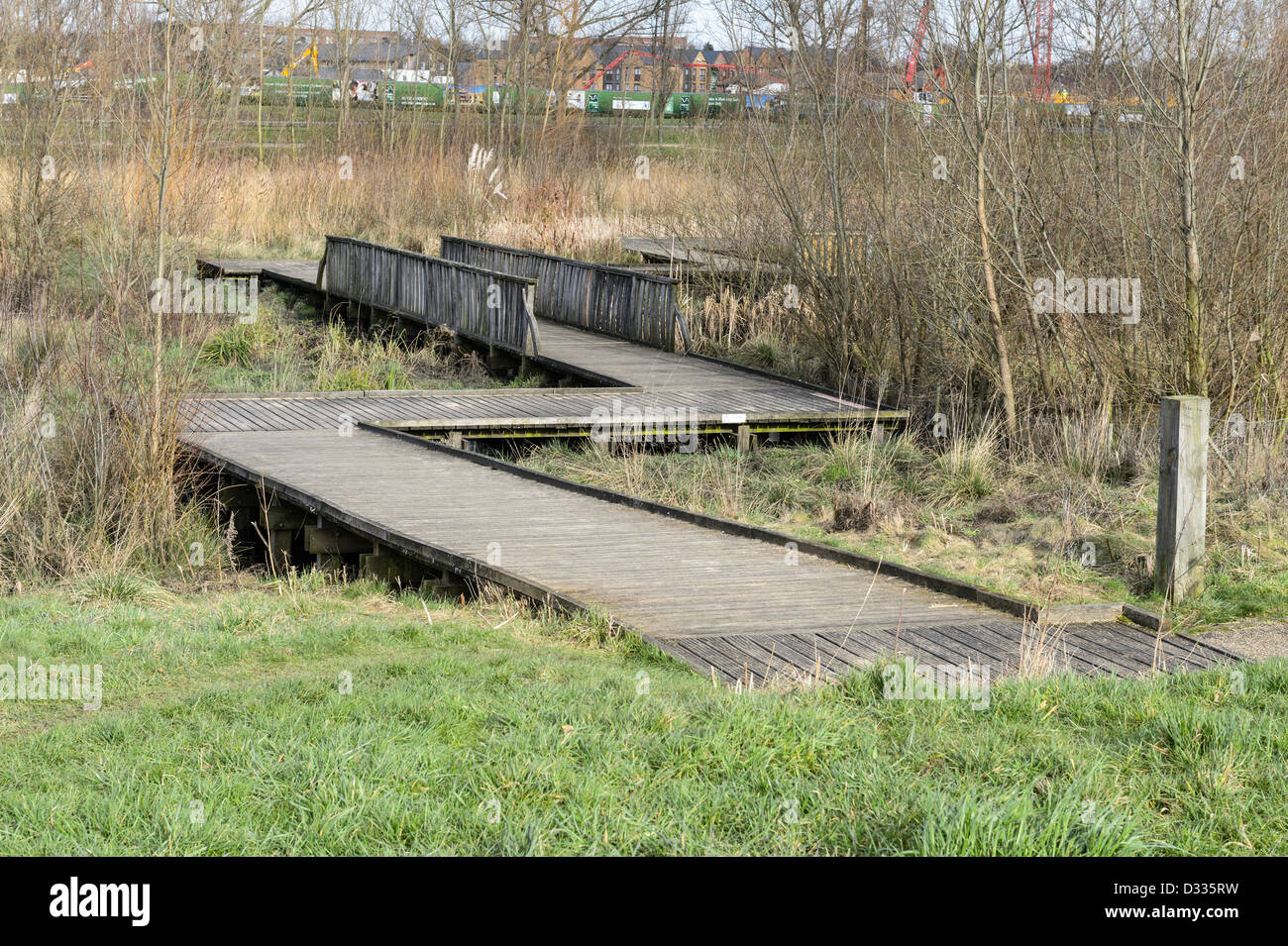Il Boardwalk struttura attraverso la pianura alluvionale wetland habitat. Fiume alluvione Quaggy alleviamento dello schema, Sutcliffe Park, London, Regno Unito. Foto Stock