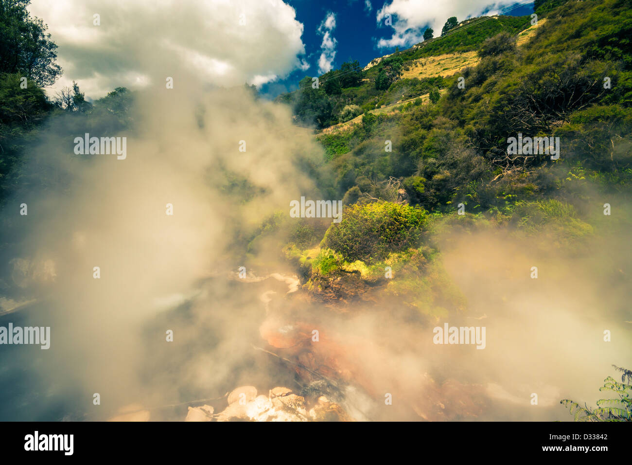 Bellissima natura di cottura a vapore in area geotermica in Wai-O-Tapu, Rotorua, Isola del nord, Nuova Zelanda. Foto Stock