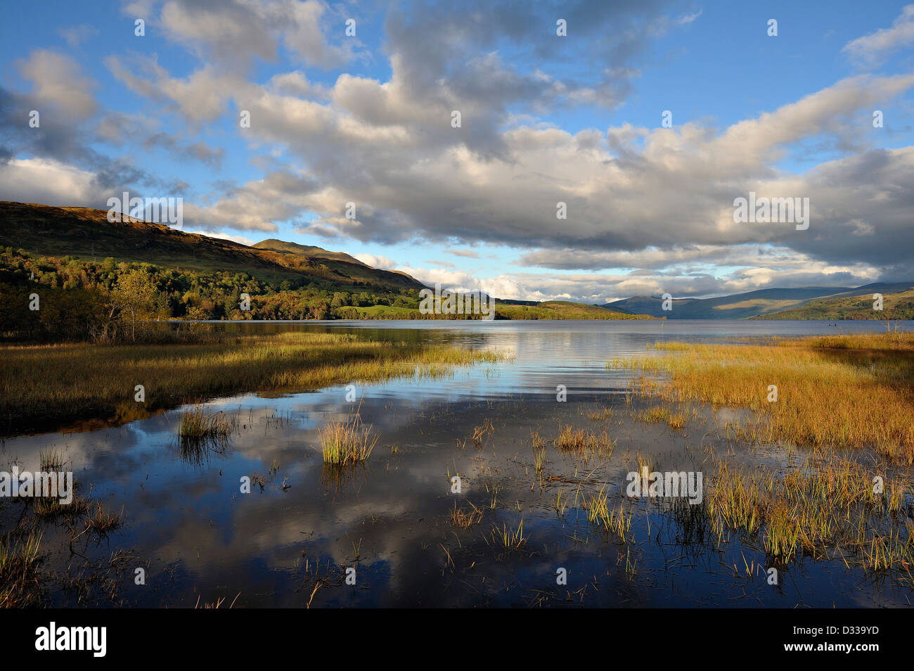 Luce della Sera su di un lago calmo con giunchi e lontane colline a Loch Tay, Perthshire, scotand Foto Stock